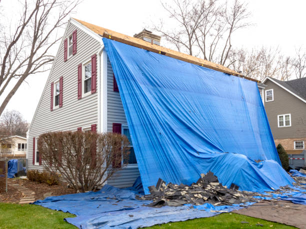 Affordable Siding Repair and Maintenance Services in Viola, NY